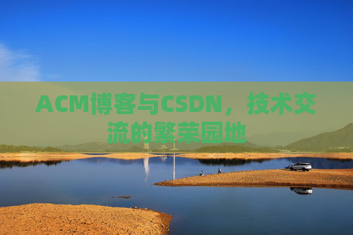 ACM博客与CSDN，技术交流的繁荣园地